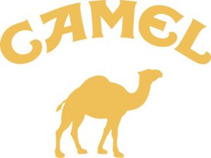 Camel